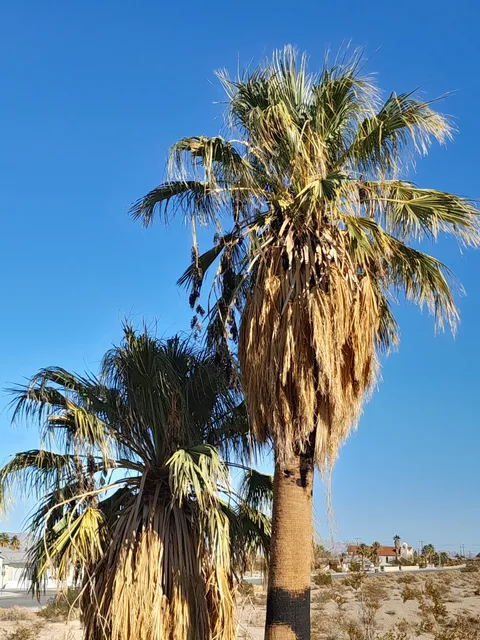 Oasis Of Mara Nature Trail Trailhead