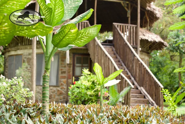 Baker & Sons Safari Company