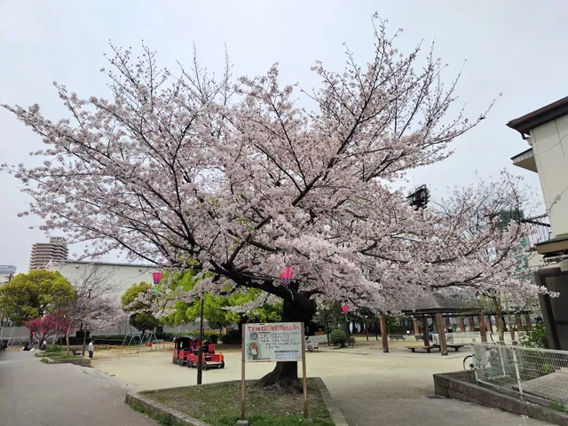 Momodani Park