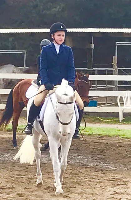 Sun Valley Equestrian llc