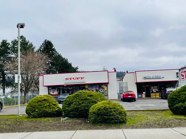 STUFF, Your High Tech Junk Store