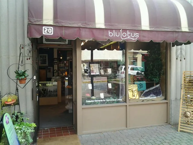 Blu Lotus Metaphysical Center
