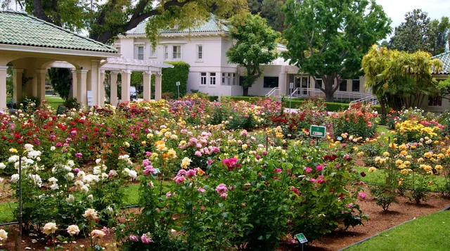 Pasadena Tournament of Roses