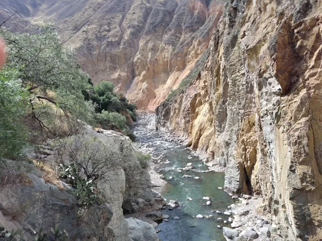 Colca Canyon Trekking Edgar