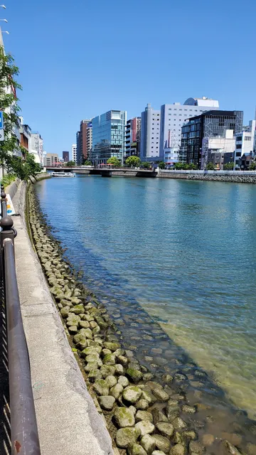 天神中央公園（福博であい橋）