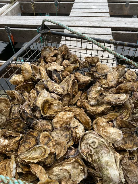 Hump Island Oyster Company