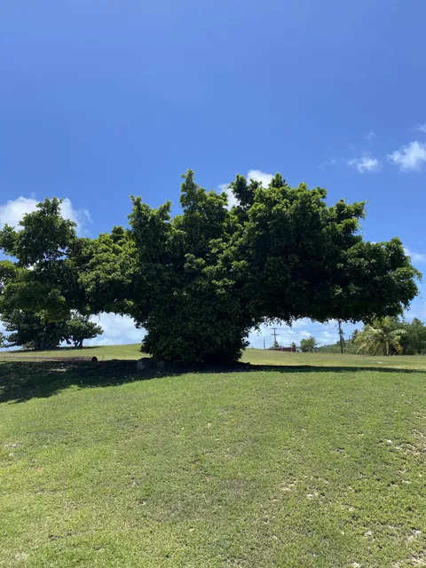 Northern Marianas College