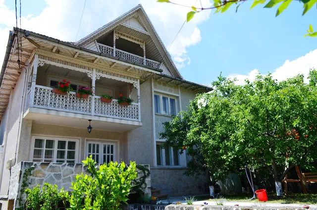 Vila Trotuș - de vânzare