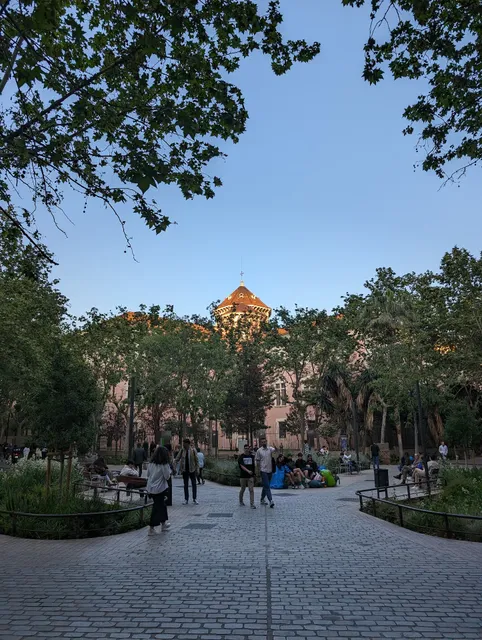 Jardi de Pluja Naturalizat