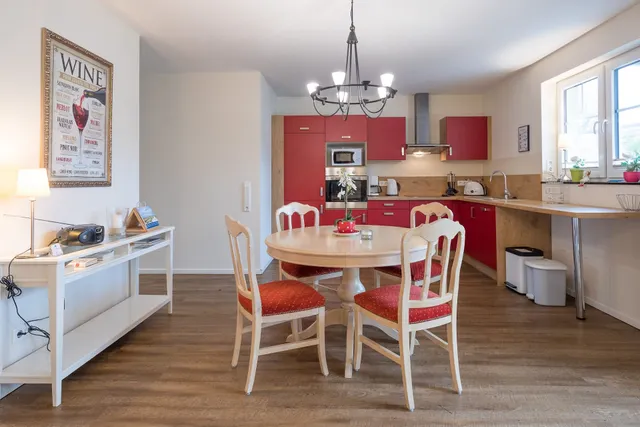 Austernfischer in Husum