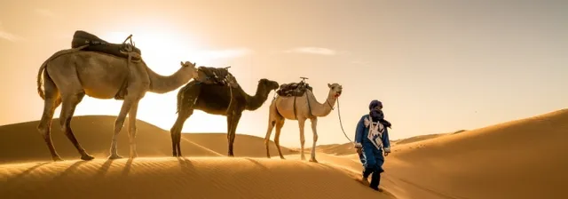 天堂島嶼, Ile de Paradise, circuit, camel trekking