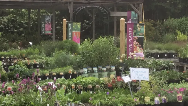 Crows Nest Greenhouse