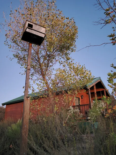 Oakoasis County Preserve Campsite