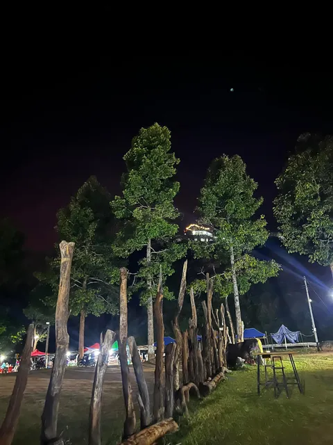 Tent view point Doi Tung Banana Forest