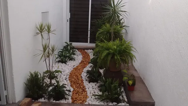 Mantenimiento de albercas y jardines Brito