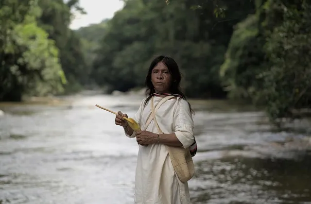 Tree of Life Experiences Palomino Hostel