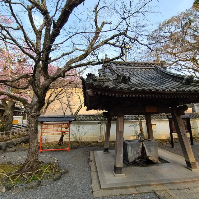 Shuzenji Onsen Ryokan cooperative