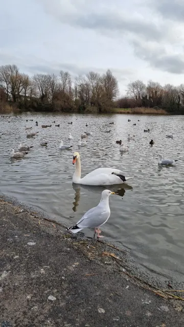 Apex Park Public Toilets