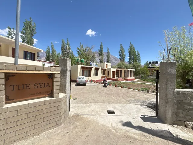 The syia