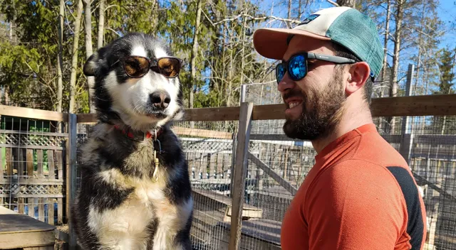 Camp Norwide - Husky farm