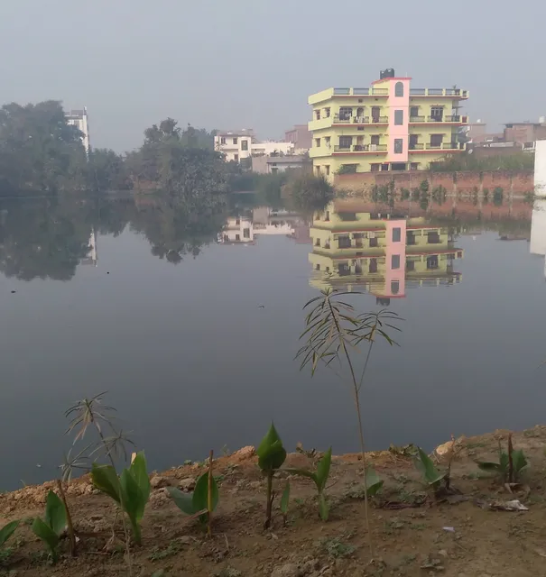 Sharma kunj homestay