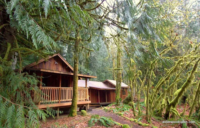 Alderwood Cabin