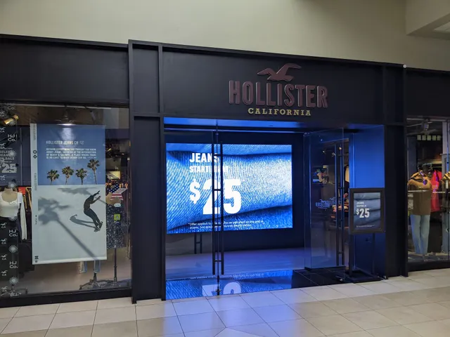 Hollister Co.