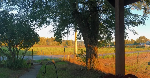 Briscot Farm and Pumpkin Patch