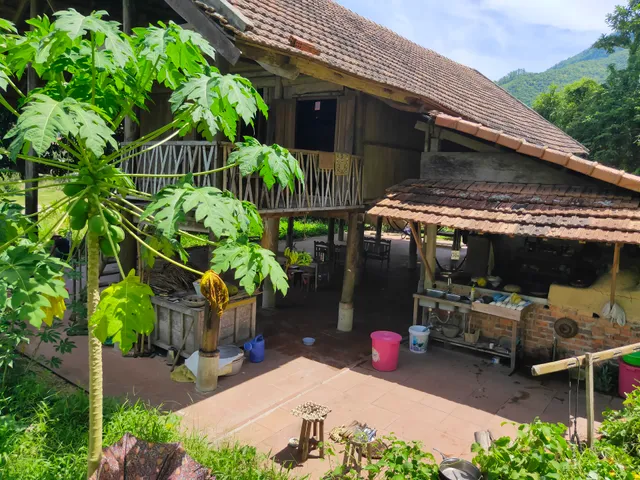 Bảo An Macrobiotic Homestay