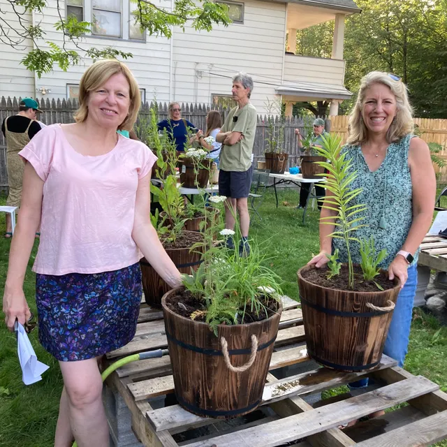 Meadow City Native Plant Nursery