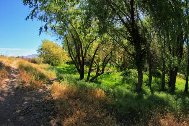 Los pozones de Peñaflor