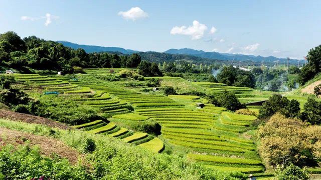 Shimo Akasaka Rice Terraces