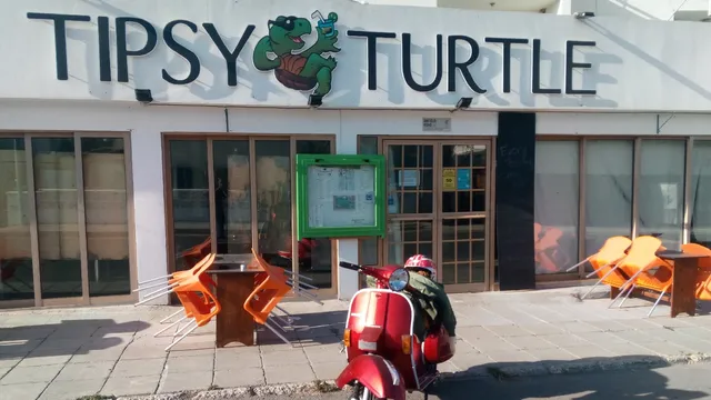 Tipsy o'Turtle Turtle