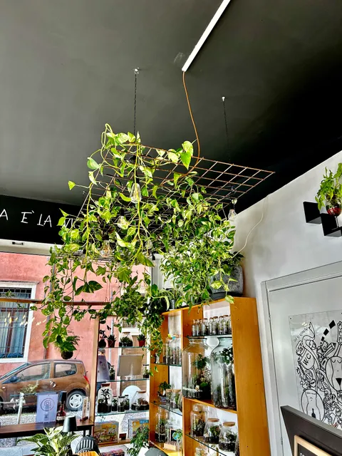 Glinvasati - Enoteca botanica