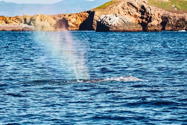 Sergio's Sportfishing Center