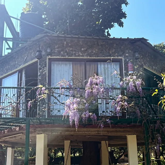 Carbery Acres Homestay