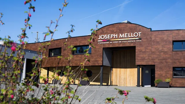 Domaine Joseph Mellot S.A.