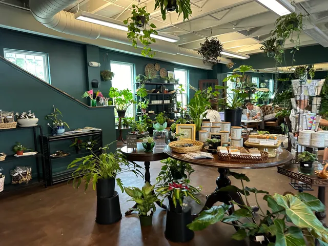The Ground Coffeehouse and Plant Shop