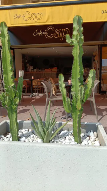Café du Cap