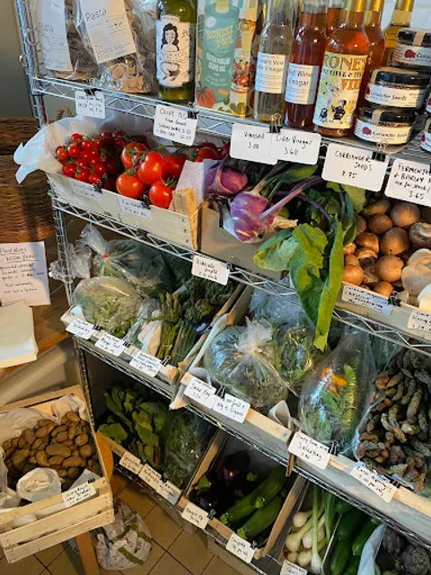 Small Food Bakery & Store