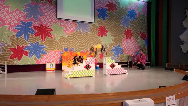 Lake Kawaguchi Monkey Showman Theater