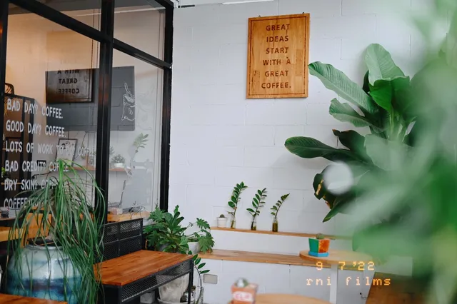 Coffee LIVE &​ RoasT​