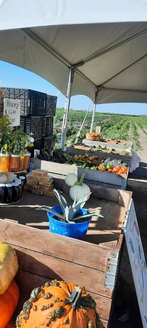 Go-Ro Fresh U-Pick Vegetables & Farm Market