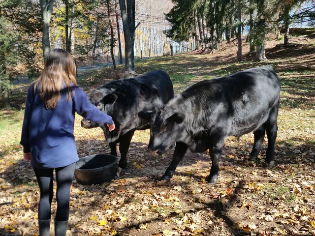 Penfield Farm Farm Stand