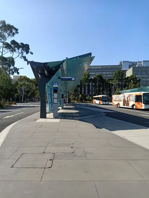 Monash Clayton Bus Loop