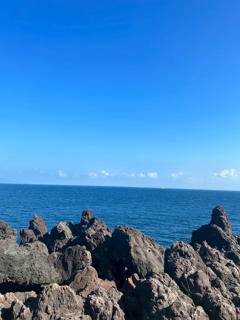 Jogasaki Coast Observatory