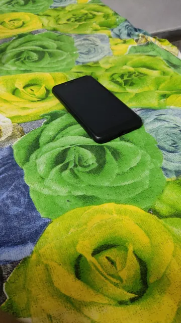 PUNJABI TADKA VEG & NON VEG RESTAURANT ( SPEACIAL FAMILY HOTEL) JIND HARYANA