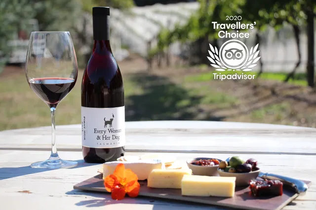 Every Man & His Dog Vineyard