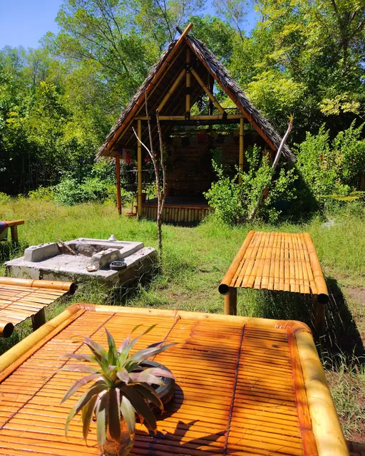 Uncle Hippie's Dream