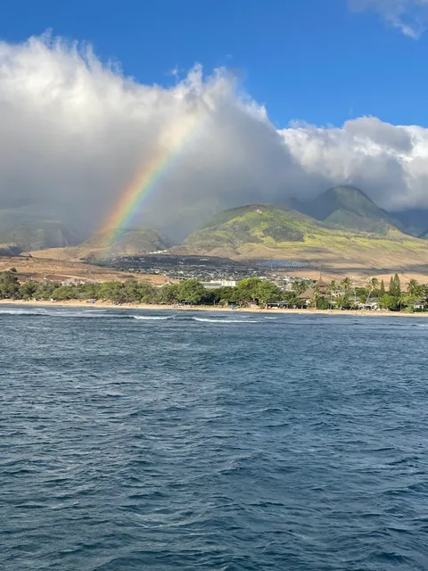Maui Princess Check-in Booth